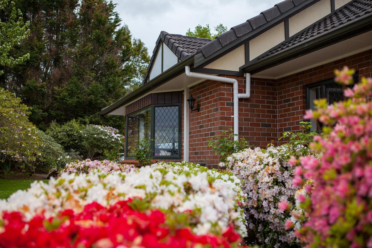 Clover Downs Homestead Rotorua Bagian luar foto